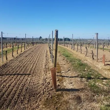Charmante Avec Piscine Proche De St-emilion Pellegrue