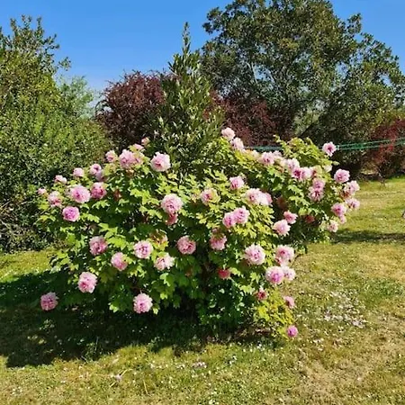 Charmante Avec Piscine Proche De St-emilion Pellegrue