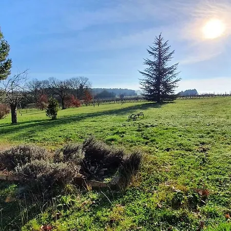 Charmante Avec Piscine Proche De St-emilion