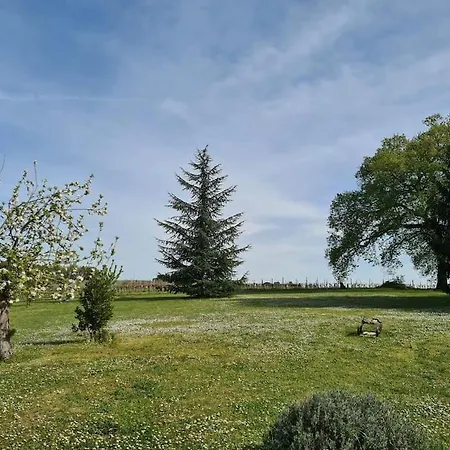Dom wakacyjny Charmante Avec Piscine Proche De St-emilion *